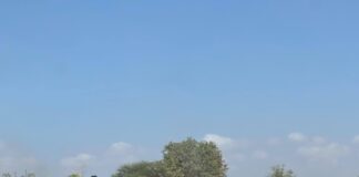 Ciidanka Xoogga Dalka Soomaaliyeed oo howlgal qorsheysan ka fuliyay qeybo ka mid ah Gobolka Shabeellaha.