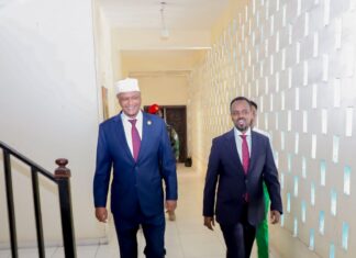 Ra’iisul Wasaare Ku Xigeenkii hore ee dalka iyo Wasiir Ku Xigeenka Wasaaradda Warfaafinta, Dhaqanka iyo Dalxiiska XF oo maanta kaararkooda cod-bixinta ka qaatay xarunta Tiyaatarka Qaranka oo xubnaha.