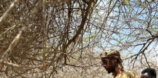 Ciidanka Xoogga Dalka Soomaaliyeed oo howlgallo qorsheysan ka fuliyay deegaanka Jawad Ari ee gobolka Shabeellaha Hoose.