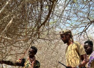 Ciidanka Xoogga Dalka Soomaaliyeed oo howlgallo qorsheysan ka fuliyay deegaanka Jawad Ari ee gobolka Shabeellaha Hoose.