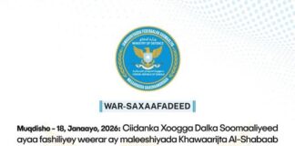 Ciidanka Xoogga Dalka Soomaaliyeed oo fashiliyey weerar ay kooxda AS ku soo qaadeen deegaanka Jabad Godane ee Gobolka Shabeellada Dhexe.