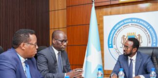 Soomaaliya iyo Boqortooyada Sucuudiga oo Xoojinaya Iskaashiga Dib-u-dhiska iyo Horumarinta Kaabayaasha Dhaqaalaha