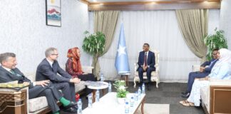 “Ra’iisul Wasaaraha Soomaaliya oo Wafdi ka Socday Switzerland Ku Qaabilay Muqdisho”