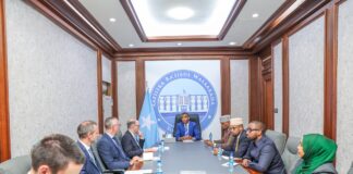 Ra’iisul Wasaare Xamsa Cabdi Barre oo kulan la yeeshay wafdi ka socday Dowladda Jarmalka