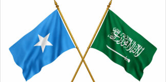 Soomaaliya ayaa Heshiis Milatari la saxiixatay Boqortooyada Sucuudiga.