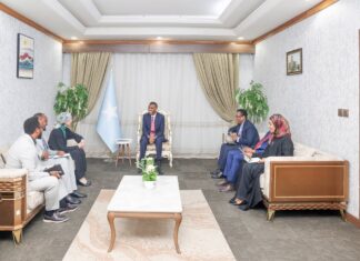 Ra’iisul Wasaare Xamsa Cabdi Barre oo xafiiskiisa ku qaabilay Wakiilka UNICEF ee Soomaaliya, kana wada hadlay horumarinta adeegyada aasaasiga ah