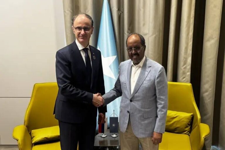 Madaxweyne Xasan Sheekh oo Kulan La Yeeshay Ra’iisul Wasaaraha Serbia