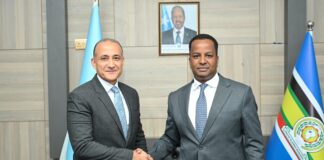 Wasiirka Wasaaradda Arrimaha Dibadda Soomaaliya oo Muqdisho kula Kulmay Safiirka Masar