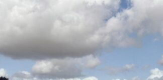 Ciidanka Xoogga Dalka oo Howlgallo Ka Dhan ah Al-Shabaab Ka Fuliyay Shabeellaha Dhexe