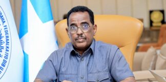 DFS oo Baaq Nabadeed ka Soo Saartay Dagaalkii Ka Dhacay Aricadeeye