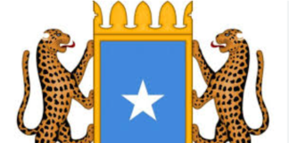 Dowlada Somalia oo warsaxaafadeed kasoo saartay dagaaladii m