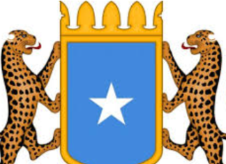Dowlada Somalia oo warsaxaafadeed kasoo saartay dagaaladii m