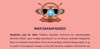 Ciidanka NISA oo howlgal qorsheysan ku dilay horjoogeyaal iyo maleeshiyaad ka tirsanaa Kooxada AS