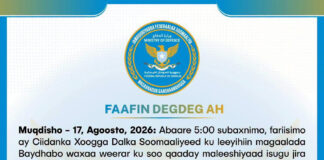 Wasaaradda Gaashaandhigga Soomaaliya oo sheegtay in la fashiliyey weerarro ay soo qaadeen ciidamo ka amar qaata Laftagareen