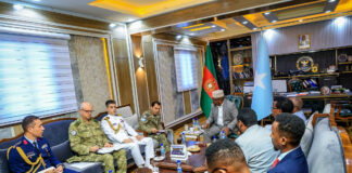 Wasiirka Gaashaandhigga Soomaaliya oo Qaabilay Saraakiil Turki ah