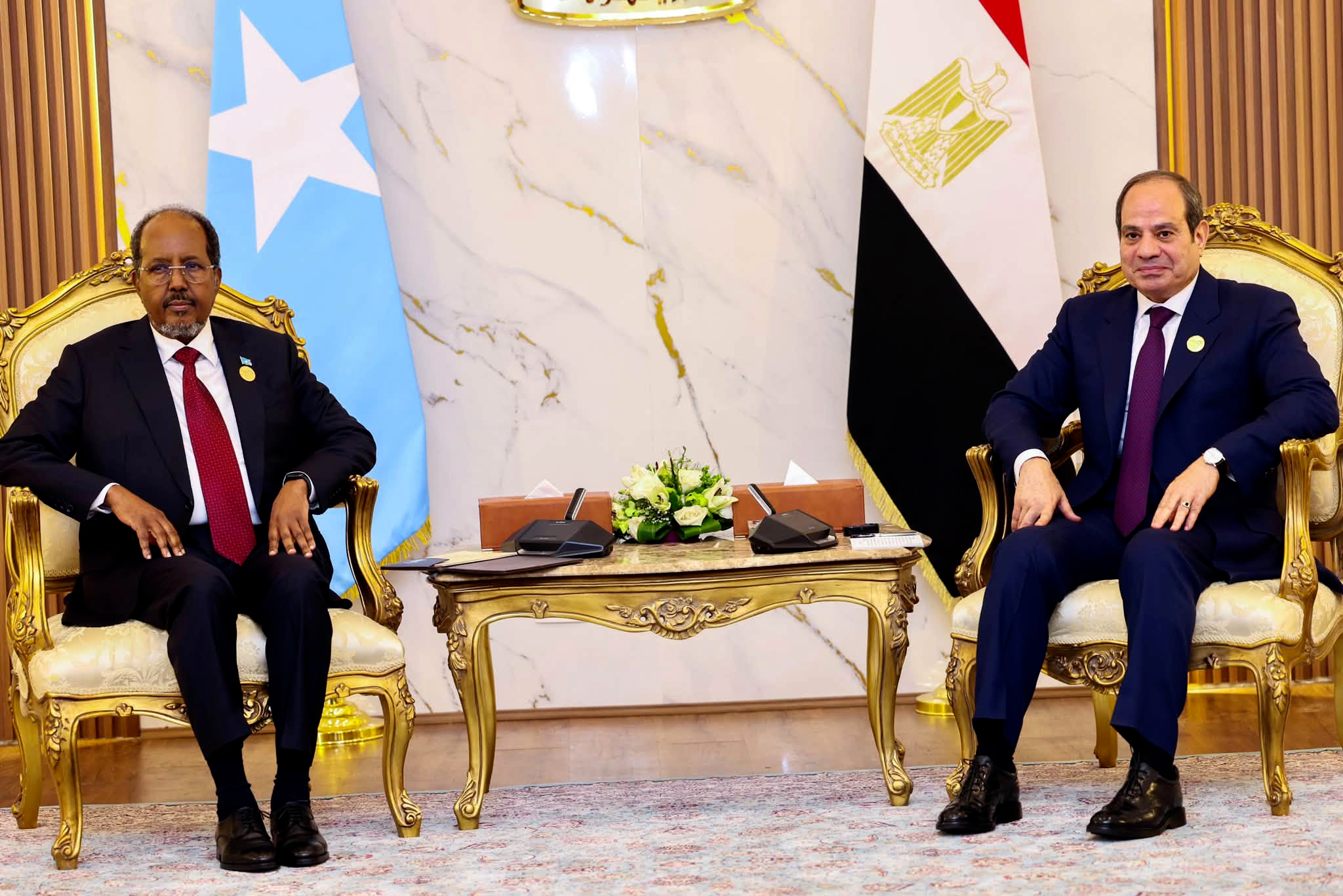 Xasan Sheekh iyo Al-Sisi oo ka wada hadlay xoojinta xiriirka Soomaaliya iyo Masar