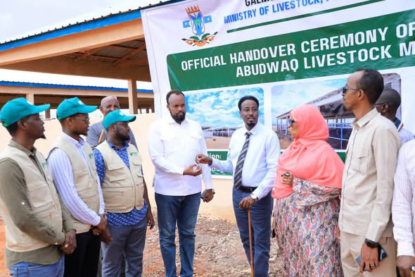 Wasaaradda Xannaanada Xoolaha Galmudug oo Suuq Casri ah ku Wareejisay Maamulka Caabudwaaq